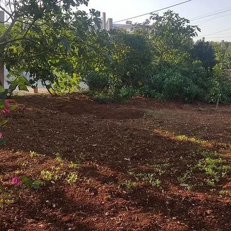 Kylie Konukevi Ksamil